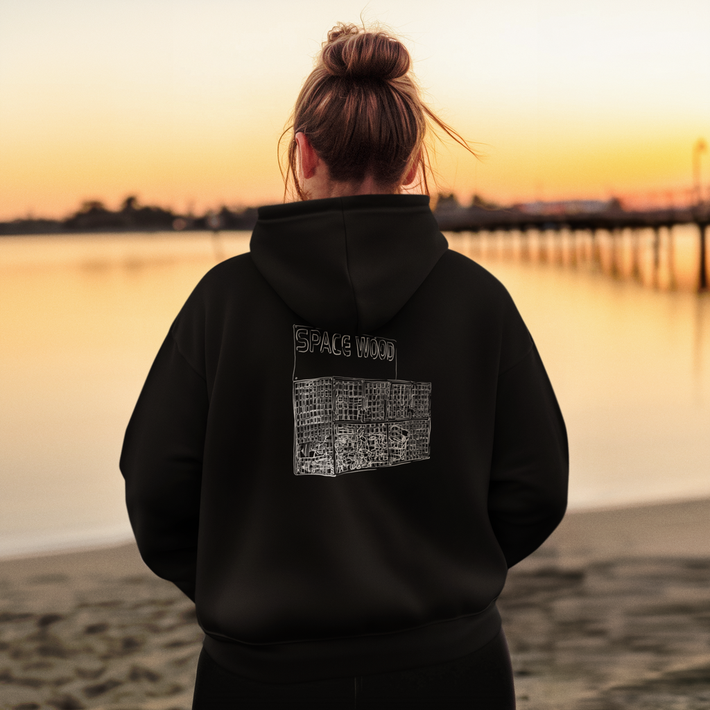 Social Justice Transformative Hoodie | Honest Expression Activist Streetwear |Progressive Political Sustainable Clothing | SPACE WOOD